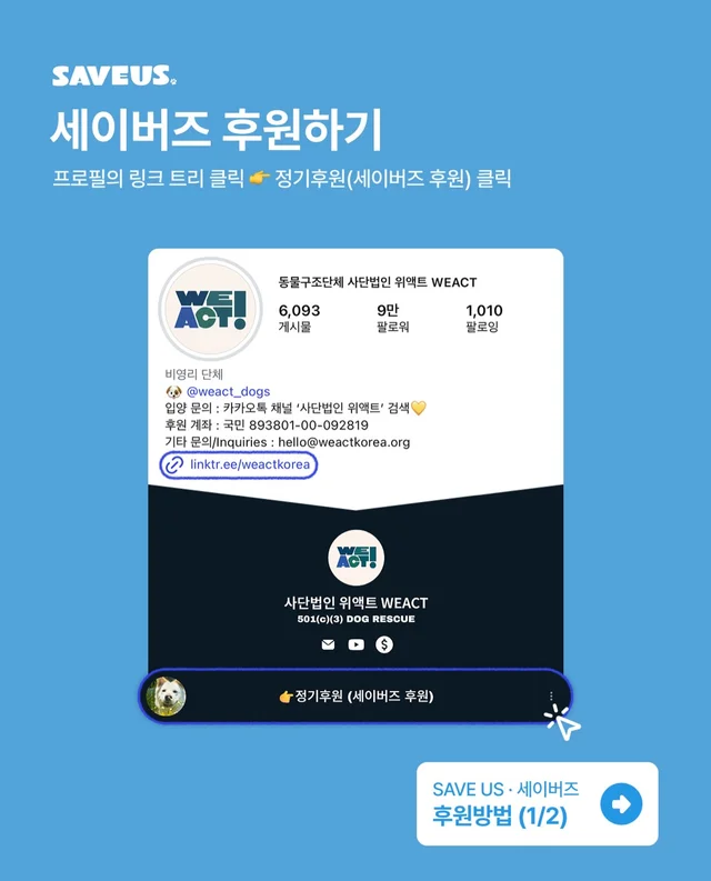 논산시보 구조 6개월 뒤 현장 사진