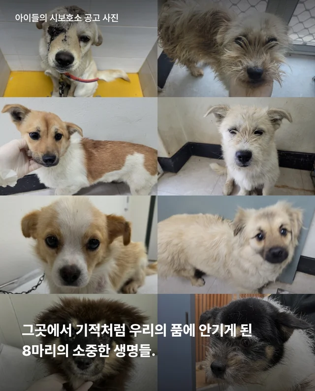 논산시보 구조 6개월 뒤 현장 사진
