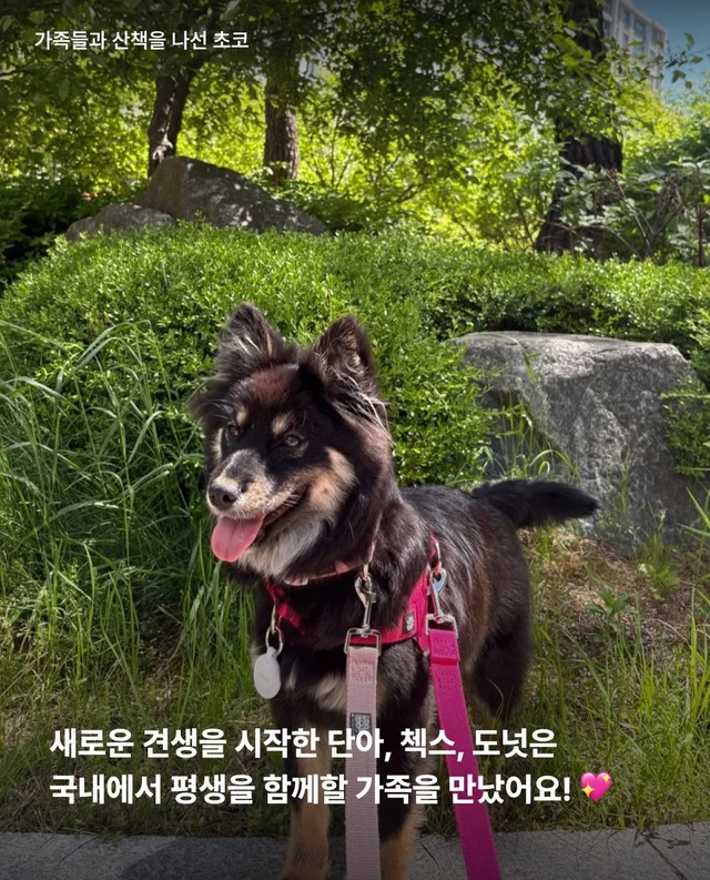 논산시보 구조 6개월 뒤 현장 사진