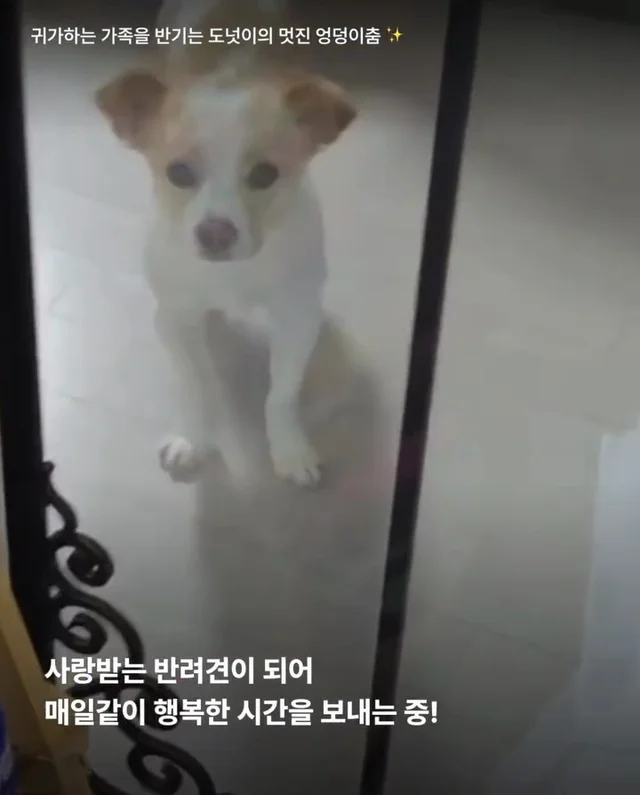 논산시보 구조 6개월 뒤 현장 사진
