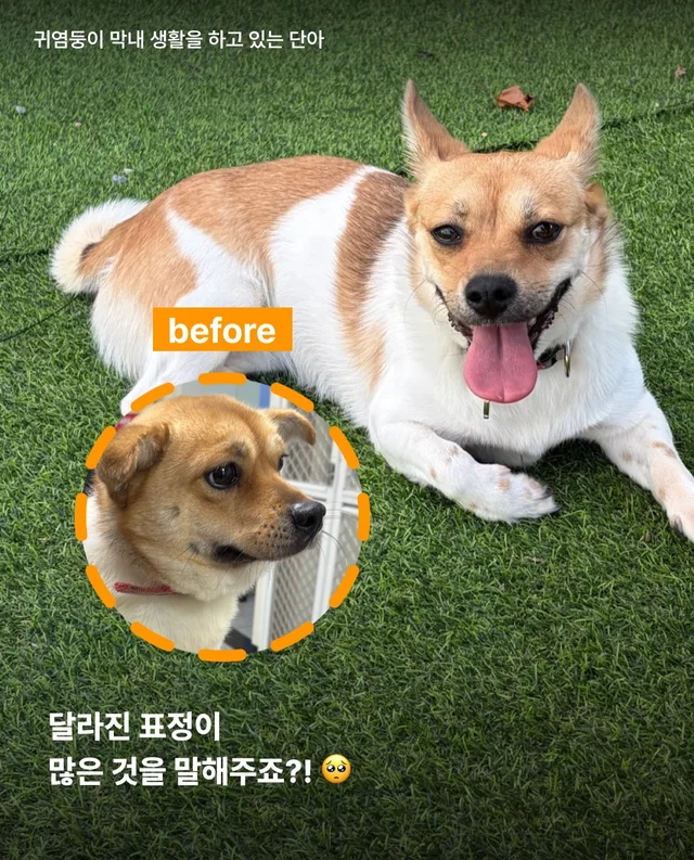 논산시보 구조 6개월 뒤 현장 사진