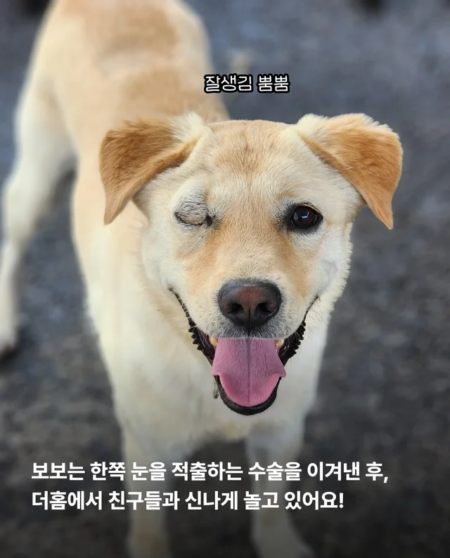 논산시보 구조 6개월 뒤 현장 사진