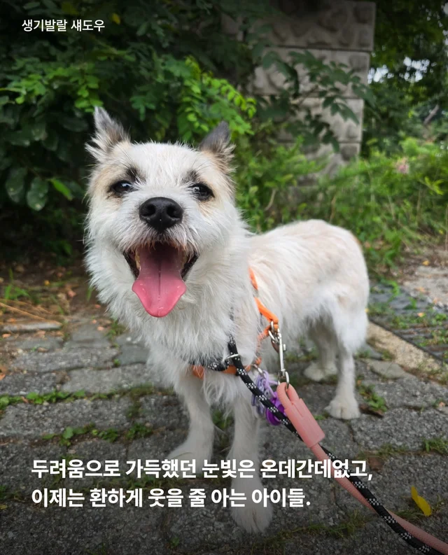 논산시보 구조 6개월 뒤 현장 사진