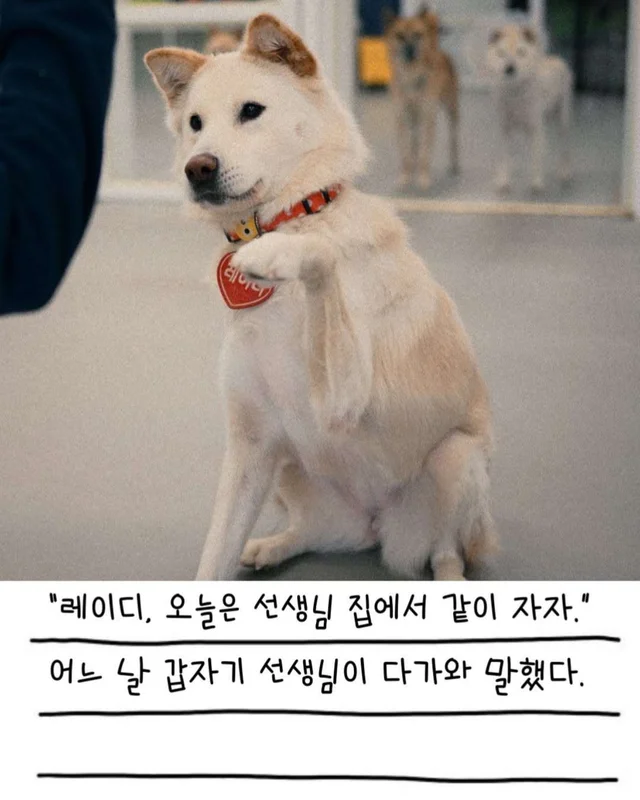 레이디의 외박일기 현장 사진