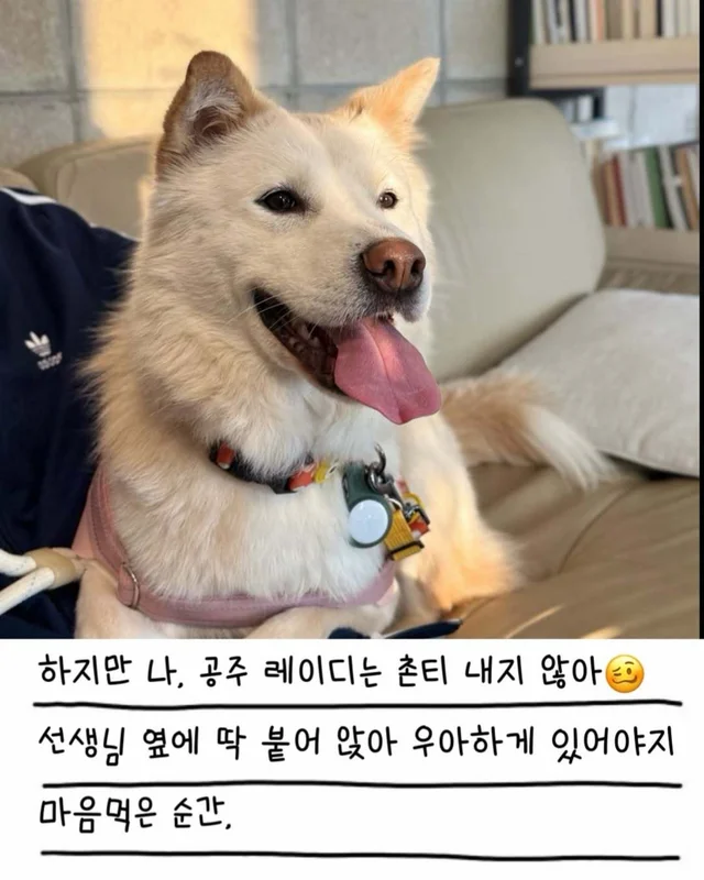 레이디의 외박일기 현장 사진