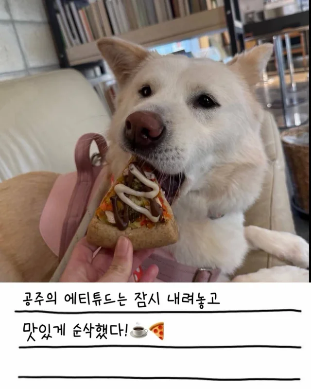레이디의 외박일기 현장 사진