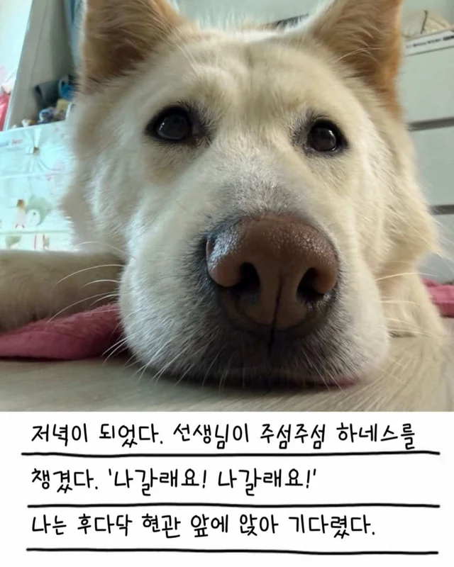 레이디의 외박일기 현장 사진
