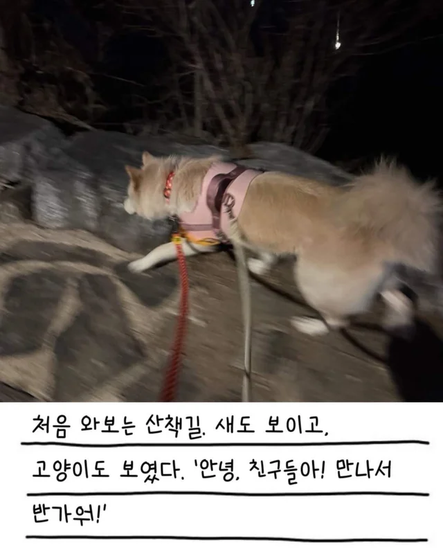 레이디의 외박일기 현장 사진