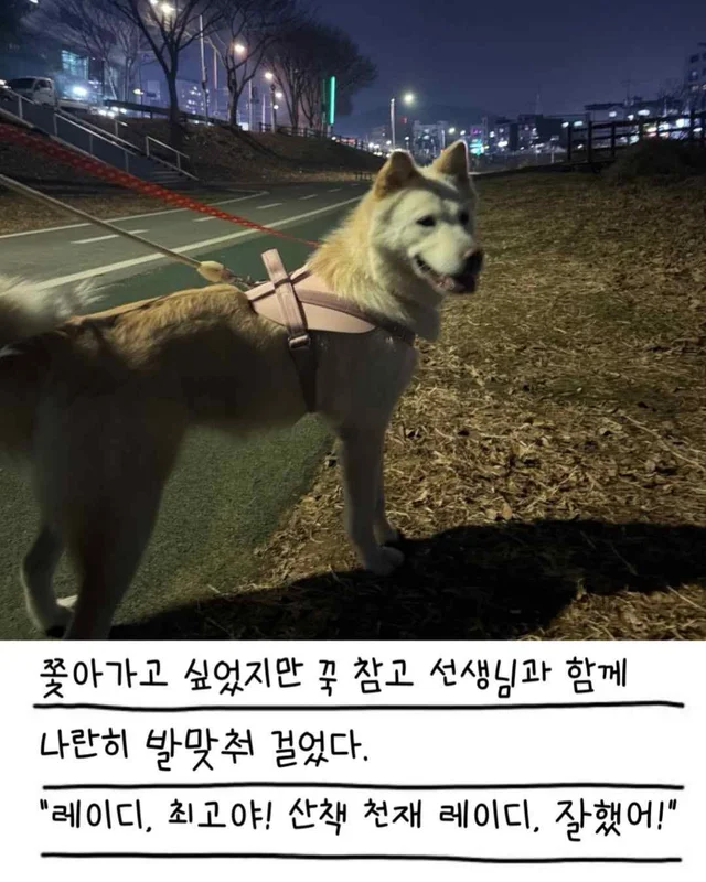 레이디의 외박일기 현장 사진