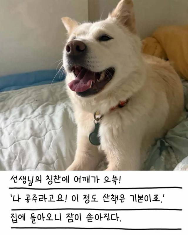 레이디의 외박일기 현장 사진