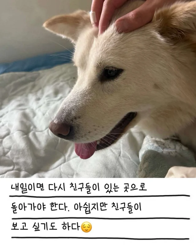 레이디의 외박일기 현장 사진