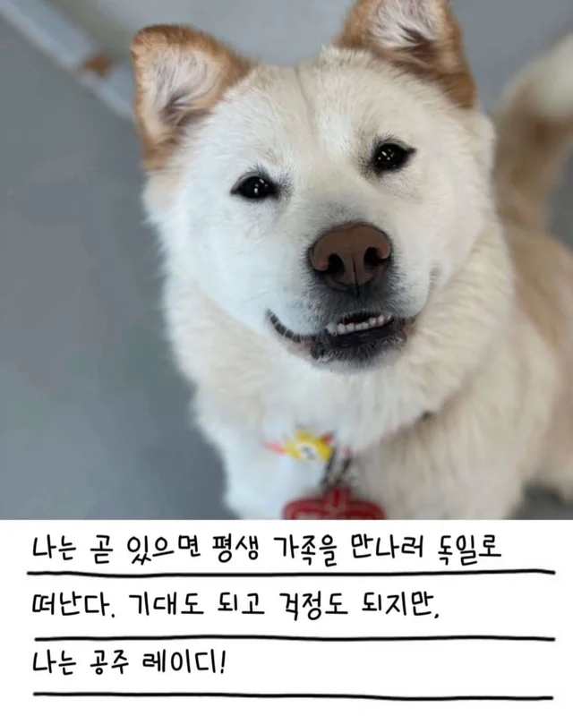 레이디의 외박일기 현장 사진