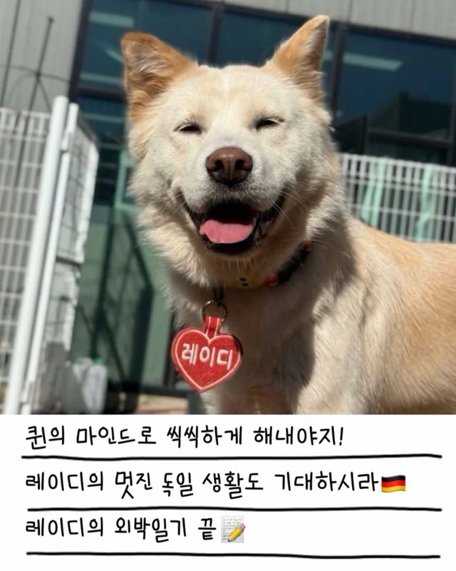 레이디의 외박일기 현장 사진