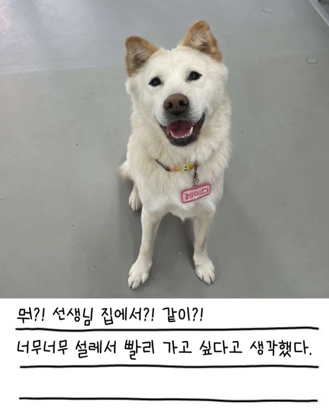 레이디의 외박일기 현장 사진