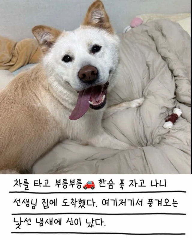 레이디의 외박일기 현장 사진