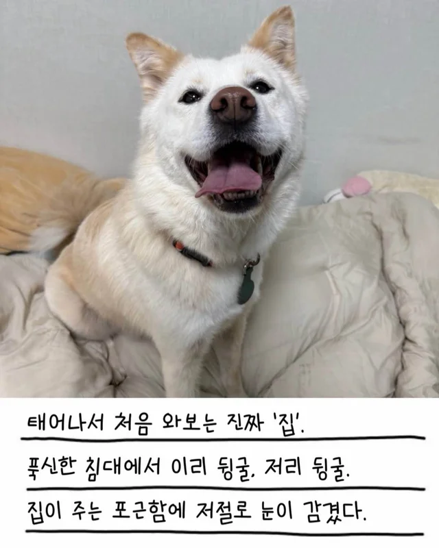 레이디의 외박일기 현장 사진