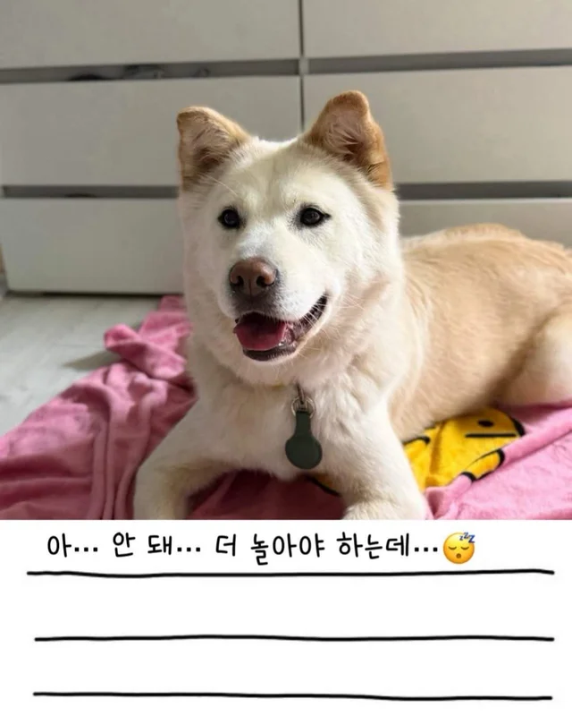 레이디의 외박일기 현장 사진