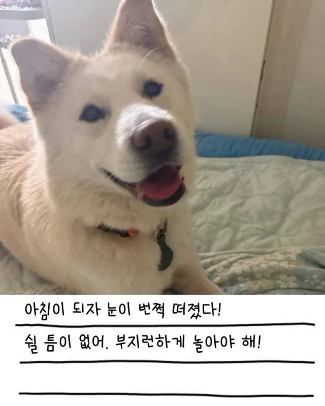 레이디의 외박일기 현장 사진