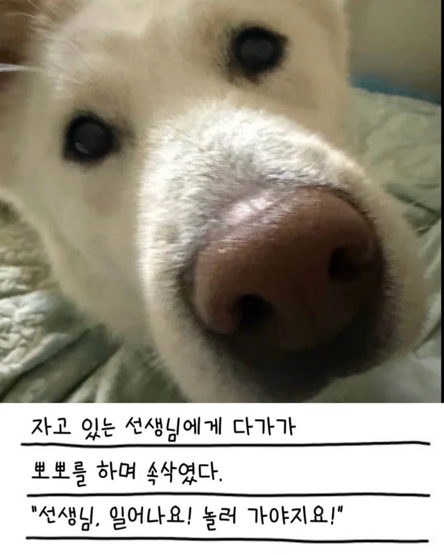 레이디의 외박일기 현장 사진