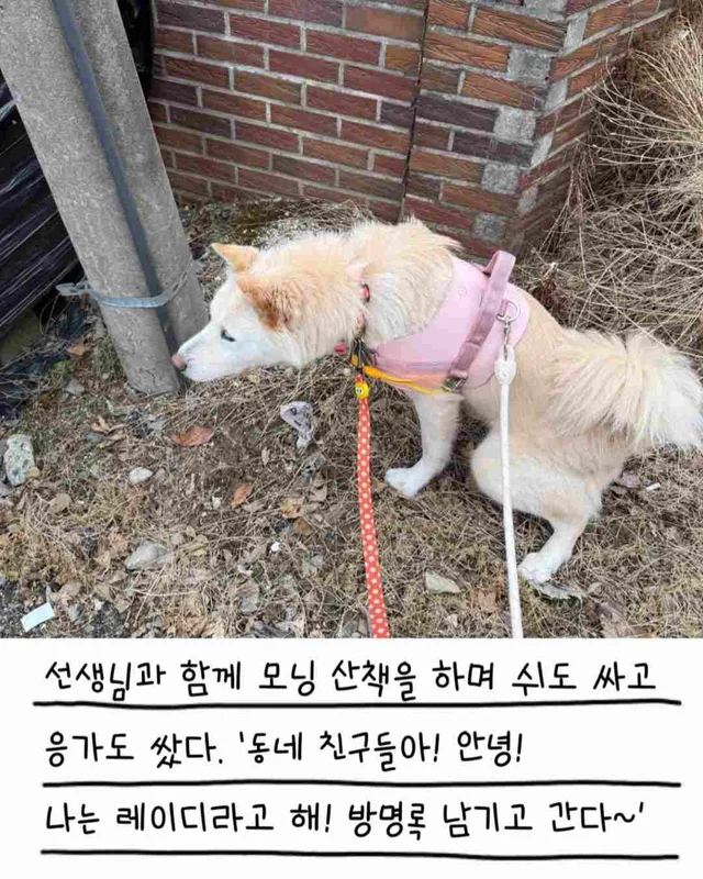 레이디의 외박일기 현장 사진