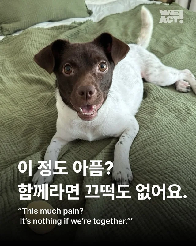 이 정도 아픔? 함께라면 끄떡도 없어요. 현장 사진