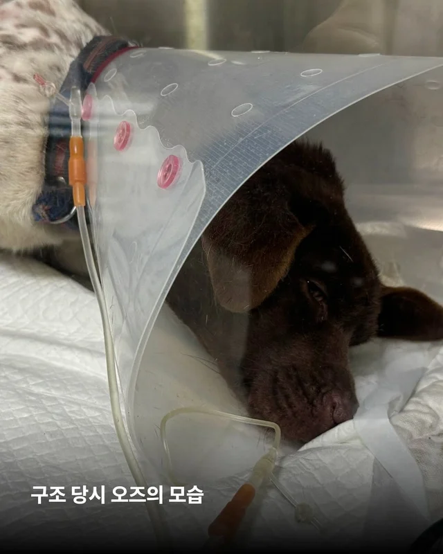 이 정도 아픔? 함께라면 끄떡도 없어요. 현장 사진