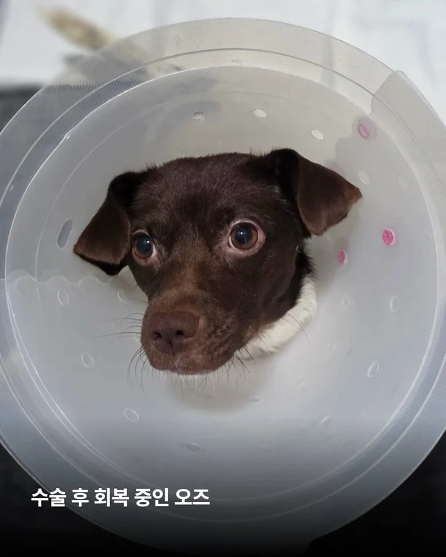이 정도 아픔? 함께라면 끄떡도 없어요. 현장 사진