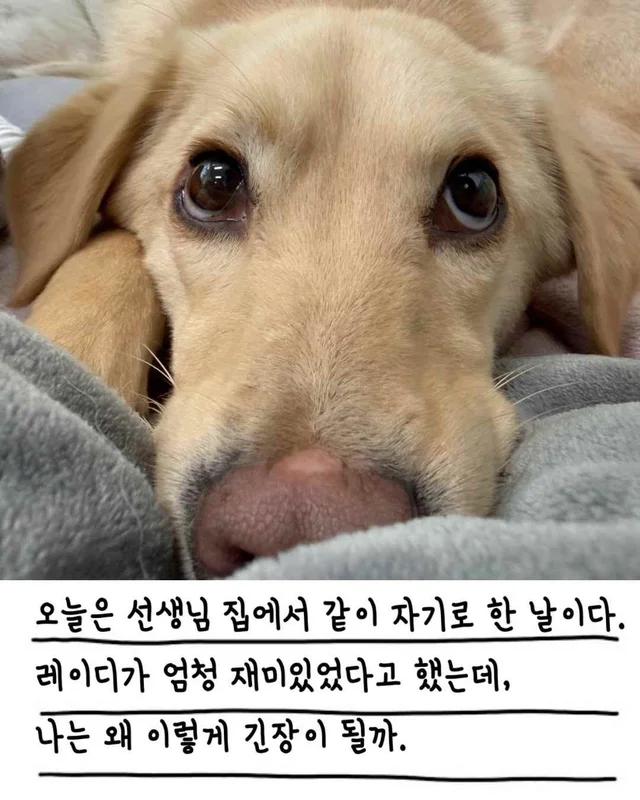 챈스의 외박일기 현장 사진