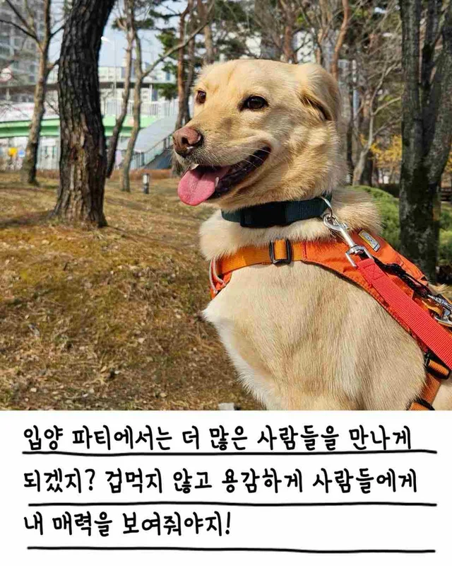 챈스의 외박일기 현장 사진
