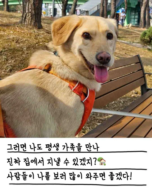 챈스의 외박일기 현장 사진