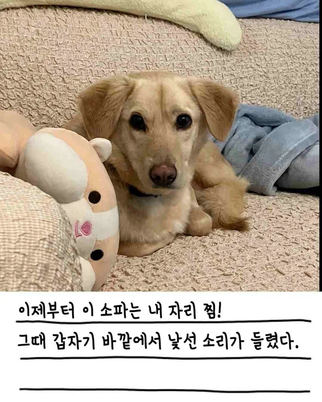 챈스의 외박일기 현장 사진