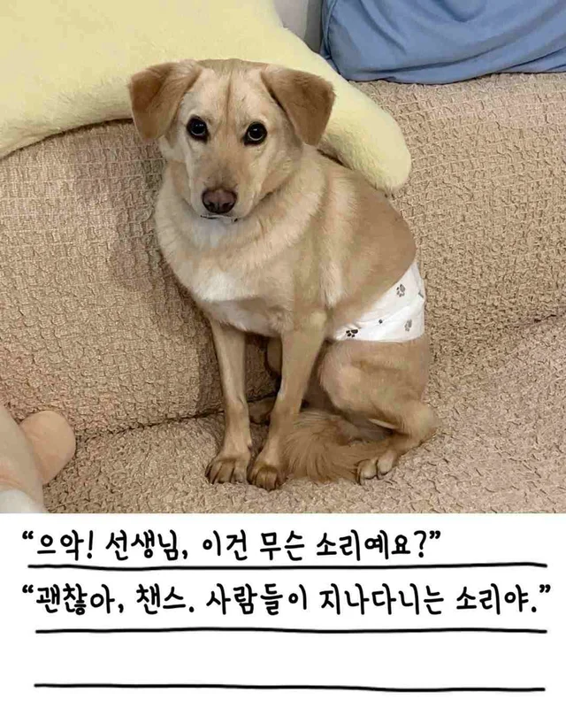 챈스의 외박일기 현장 사진