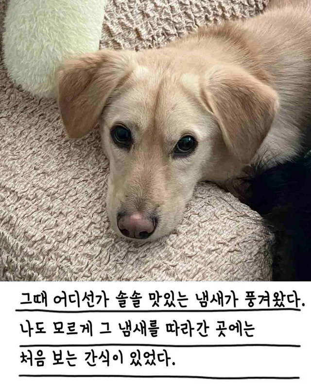 챈스의 외박일기 현장 사진