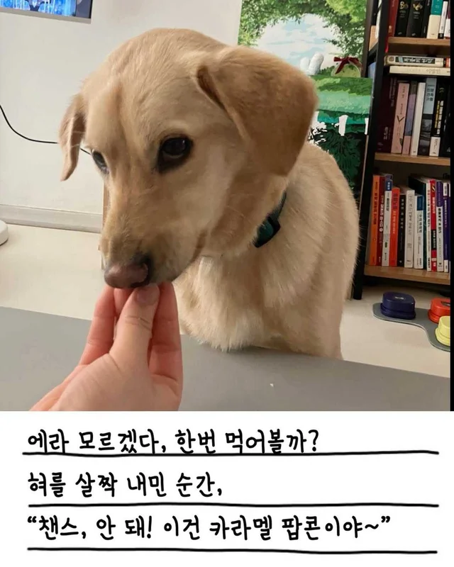 챈스의 외박일기 현장 사진