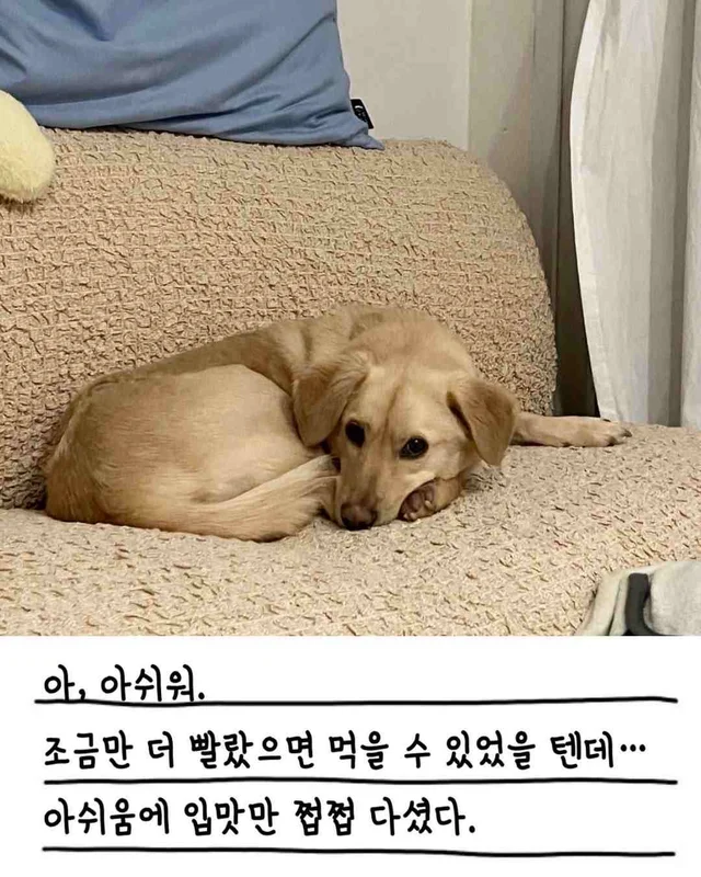 챈스의 외박일기 현장 사진