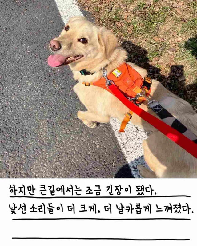챈스의 외박일기 현장 사진