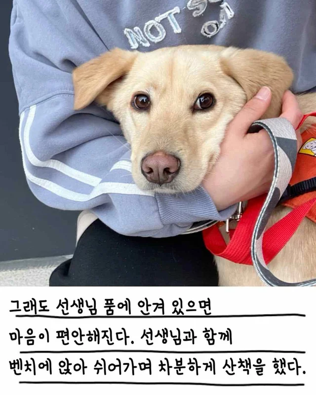 챈스의 외박일기 현장 사진