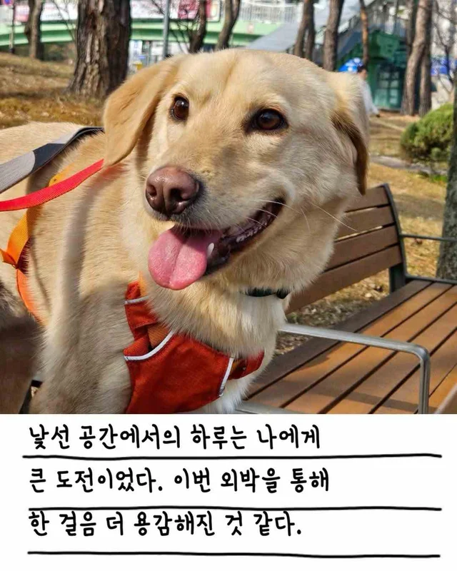 챈스의 외박일기 현장 사진