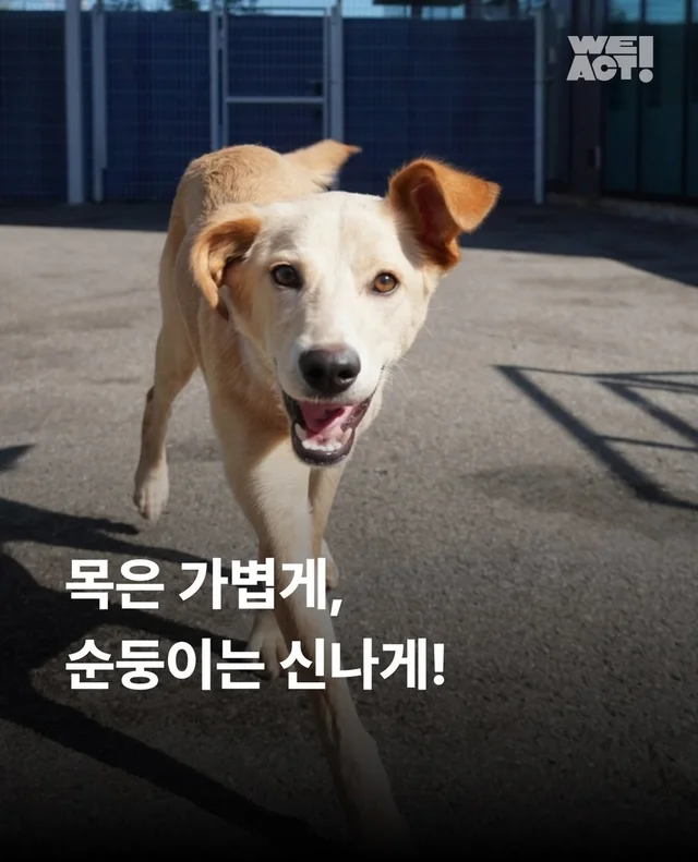목은 가볍게, 순둥이는 신나게 현장 사진