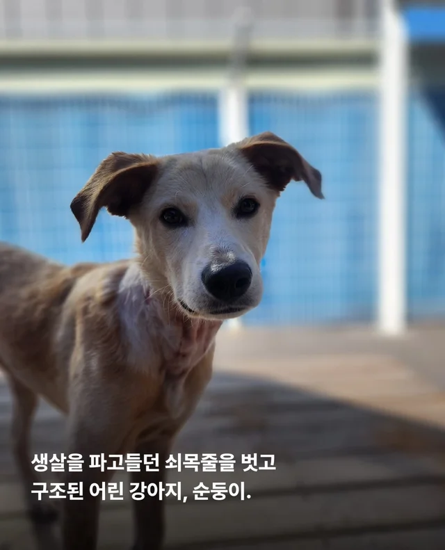 목은 가볍게, 순둥이는 신나게 현장 사진