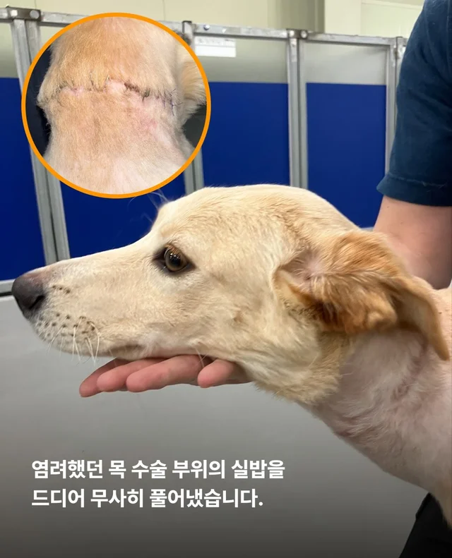 목은 가볍게, 순둥이는 신나게 현장 사진