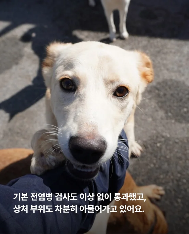 목은 가볍게, 순둥이는 신나게 현장 사진