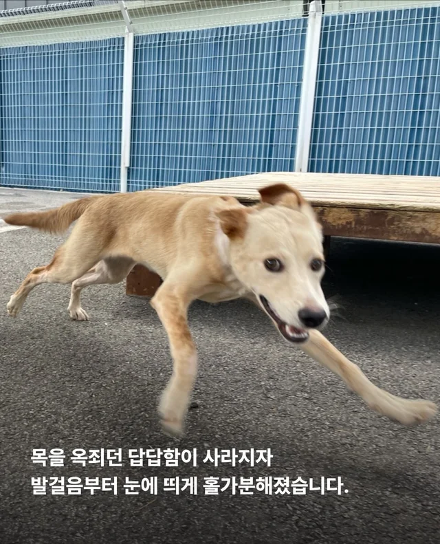 목은 가볍게, 순둥이는 신나게 현장 사진
