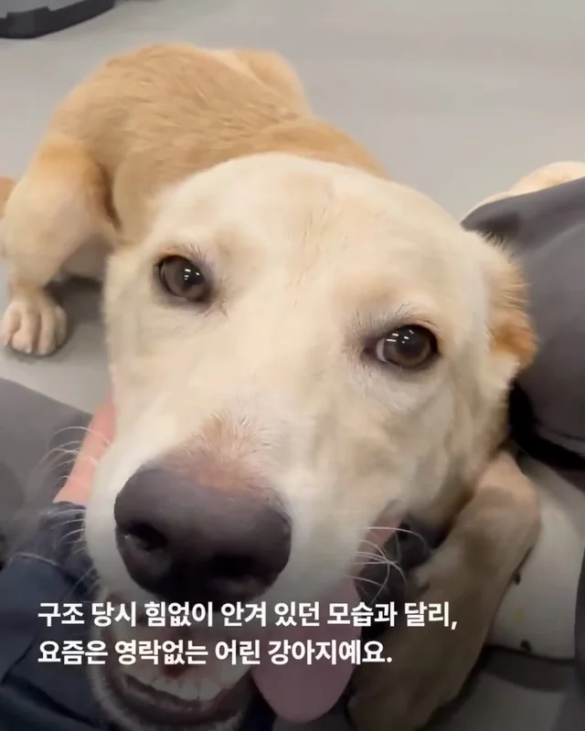 목은 가볍게, 순둥이는 신나게 현장 사진