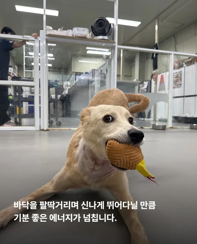 목은 가볍게, 순둥이는 신나게 현장 사진