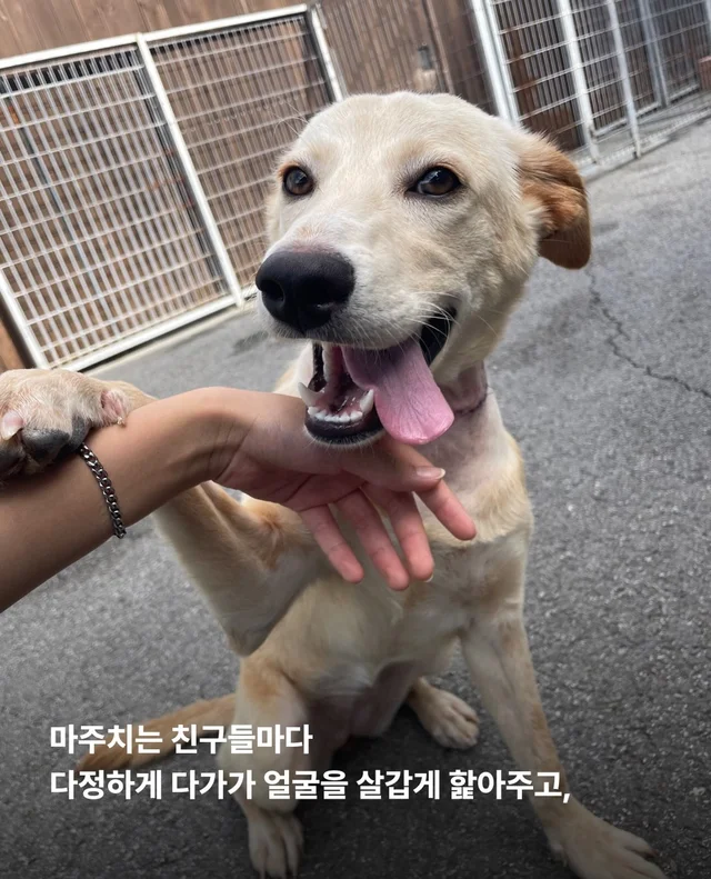 목은 가볍게, 순둥이는 신나게 현장 사진