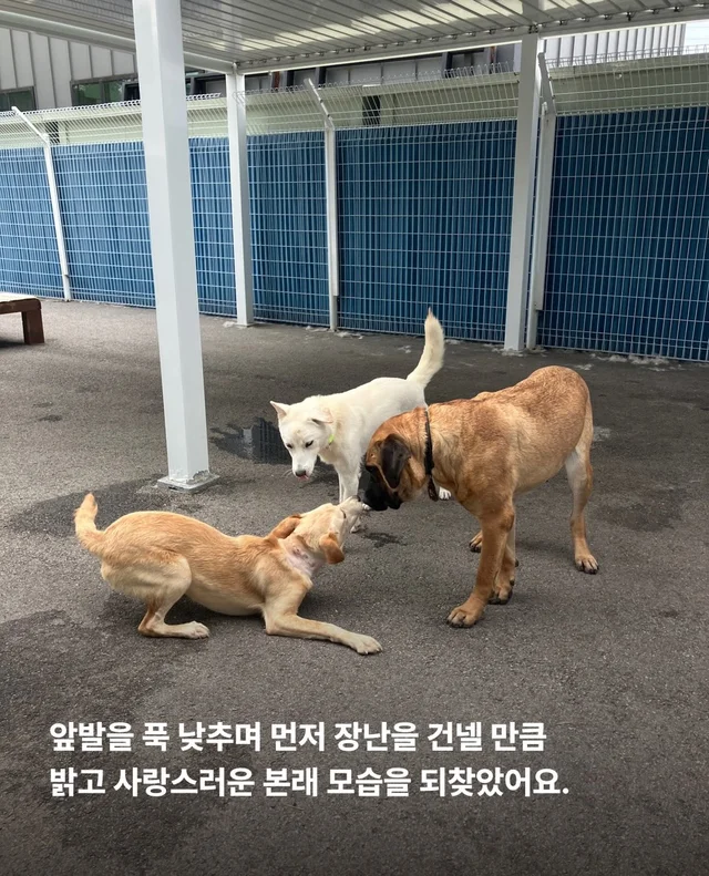 목은 가볍게, 순둥이는 신나게 현장 사진