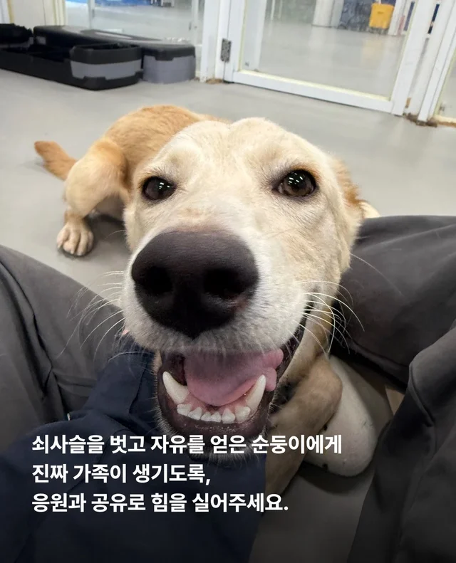 목은 가볍게, 순둥이는 신나게 현장 사진