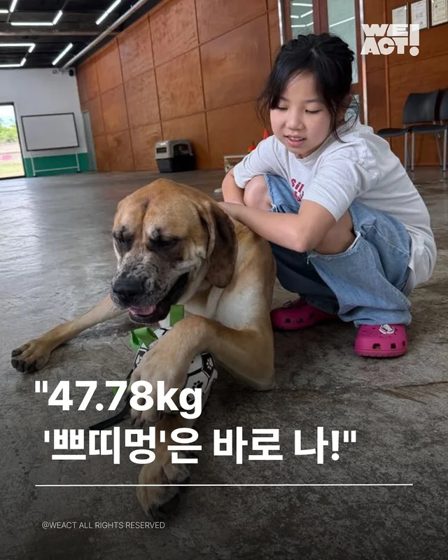 부산개백화점 - 위액트 럭스 현장 사진