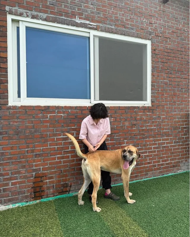 부산개백화점 - 위액트 럭스 현장 사진